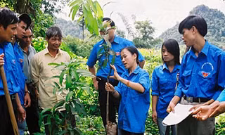 BẢN TIN TÌNH NGUYỆN: Trí thức khoa học trẻ làm tình nguyện