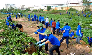 BẢN TIN TÌNH NGUYỆN: Sinh viên kinh tế góp tay xây dựng nông thôn mới