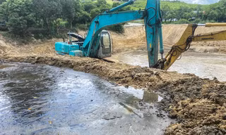 Hà Tĩnh: Trại lợn gây ô nhiễm bị phạt gần 300 triệu đồng 