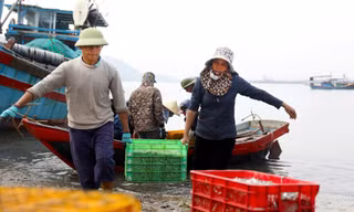 Hải sản tăng giá, ngư dân Hà Tĩnh ra khơi xuyên lễ
