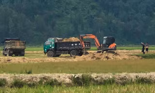 Lợi dụng cải tạo ruộng để bán đất nông nghiệp trục lợi