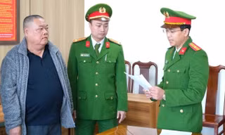 Giám đốc chỉ đạo nhân viên làm giả hồ sơ năng lực dự thầu 