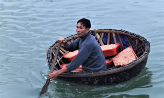  5-7 tiếng ra biển, ngư dân Hà Tĩnh kiếm hàng chục triệu đồng nhờ trúng đậm con ruốc 