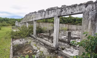 Trung tâm sản xuất giống chăn nuôi 20 tỷ đồng bỏ hoang thành nơi chăn bò