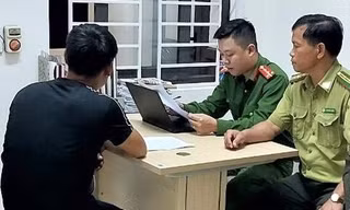 Ráo riết xử lý nạn rao bán chim trời trên mạng xã hội