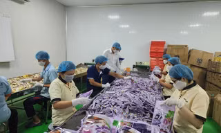 Doanh nghiệp lao đao với giá cà phê trong mơ