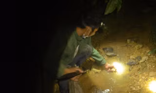 Anh Hà Thủy soi đèn bắt cua đá