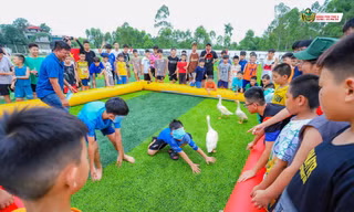 Cảnh giác với 'mùa trại hè' nở rộ