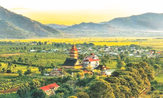Đất trời 'hội tụ' bên đồi chè cổ thụ 