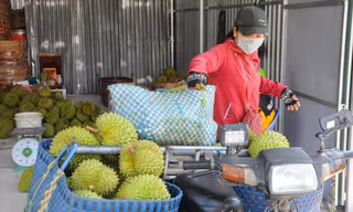 Hạ tầng logistics thiếu và yếu kìm hãm nông sản ĐBSCL 