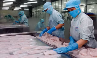 Xuất khẩu cá tra: Vì sao chế biến sâu chỉ chiếm 2%? 