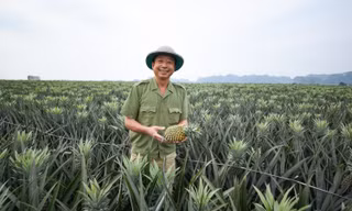 Đánh thức mầm xanh trên vùng đất khó 