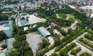 Vì sao vi phạm về đê điều kéo dài?