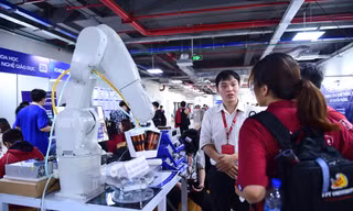 Hệ sinh thái ươm dưỡng start-up 