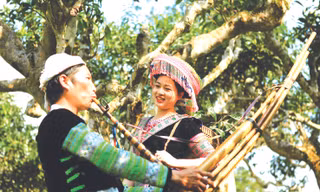 Khèn Mông giữa đại ngàn 