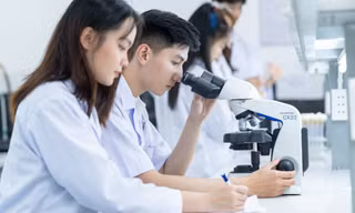 Mức điểm sàn nhóm ngành Sức khỏe và đào tạo giáo viên năm 2024