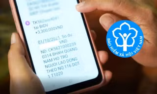 Cách tra cứu hỗ trợ thất nghiệp bằng Cổng dịch vụ công BHXH Việt Nam trên điện thoại