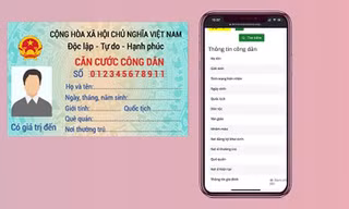 Cách tra cứu thông tin cá nhân trên Cơ sở dữ liệu quốc gia bằng CMND, CCCD gắn chip