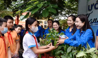Tuổi trẻ tình nguyện góp sức xây dựng đô thị văn minh, giải quyết thủ tục hành chính