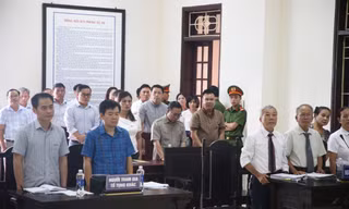 Kỳ án gỗ trắc ở Quảng Trị: Tòa bác đơn kiện Tổng Cục trưởng Hải quan của doanh nghiệp