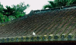 Ngôi nhà cổ hơn 200 năm tuổi ở Đà Nẵng