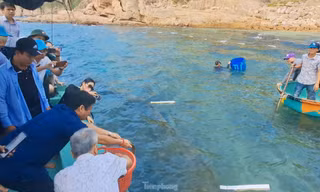 Bình Định kết hợp du lịch với bảo vệ đại dương và hệ sinh thái biển 