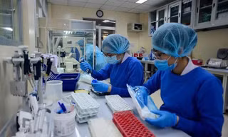 Việt Nam ở đâu trên bản đồ COVID-19 của thế giới?