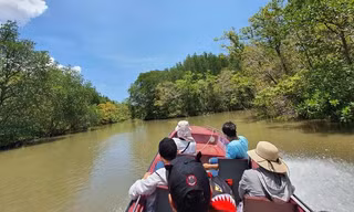 Lữ hành Saigontourist tiếp tục tổ chức tour đường sông Cần Giờ cho khách cá nhân, gia đình