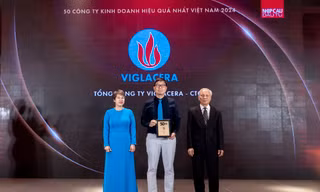 Viglacera lọt 'Top 50 Công ty kinh doanh hiệu quả nhất Việt Nam 2024' và 'Bất động sản tiêu biểu 2024'