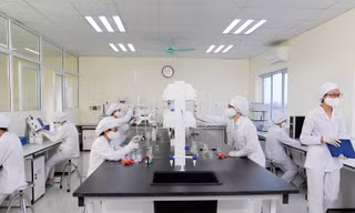Traphaco thúc đẩy chuyển đổi số 
