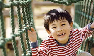 Lợi ích độc đáo giúp 'hạt vàng' đậu nành lên ngôi 