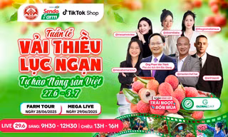 Vải thiều đã chín đỏ trên siêu thị online Sendo Farm và phiên live đặc biệt với Phó chủ tịch Bắc Giang