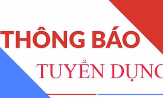 Tổng công ty cổ phần Thương mại Xây dựng (WTO) tuyển dụng Kỹ sư kinh tế xây dựng