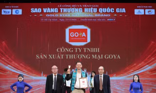GOYA lọt top 10 'Sao vàng thương hiệu quốc gia' 2024