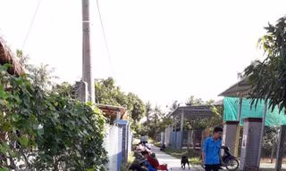 Mô hình '30 phút cuối tuần vì môi trường xanh' 