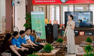 Thái Nguyên: Người dân trồng chè ở La Bằng với niềm vui an cư
