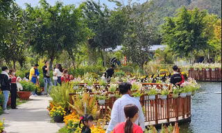 Nhịp điệu mới cho khát vọng phương Nam 