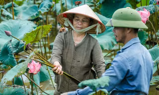 Vực dậy làng nghề gần trăm tuổi từ tơ sen