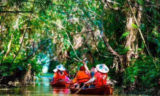 Rừng tràm gợn sóng xanh mướt