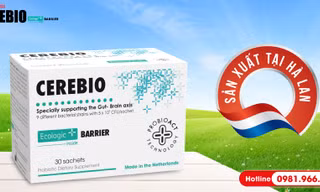 Nghiên cứu về loại men vi sinh hỗ trợ giảm lo âu, trầm cảm