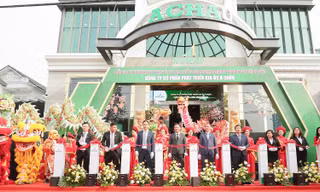 Địa ốc Á Châu: Tâm thế mới, bước ngoặt mới