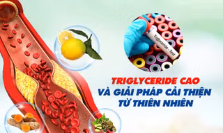 Triglyceride cao và giải pháp cải thiện từ thiên nhiên 