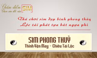 5 tiêu chí chấm điểm sim điện thoại ai cũng nên biết