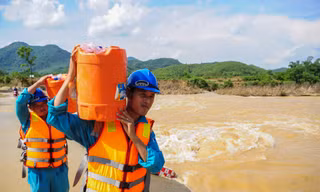 Viettel thành lập 9 đoàn tiền phương do chỉ huy các Tổng Công ty làm trưởng đoàn tại các tỉnh Hà Tĩnh, Quảng Bình, Quảng Trị, Thừa Thiên Huế, Đà Nẵng và Quảng Nam