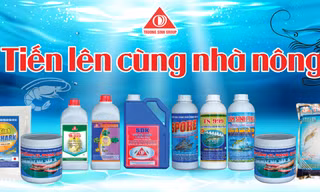 'Thành công là một cuộc hành trình…'
