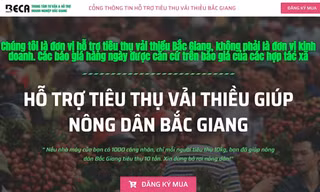 Bắc Giang kêu gọi cộng đồng hỗ trợ tiêu thụ vải thiều thông qua cổng thông tin