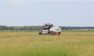 Chiến dịch Chăm sóc máy Yanmar 2020: Đồng loạt, thiết thực, hiệu quả