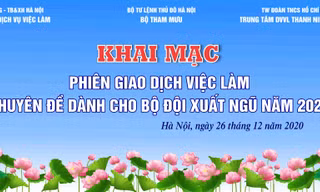Phiên giao dịch việc làm dành cho bộ đội xuất ngũ năm 2020