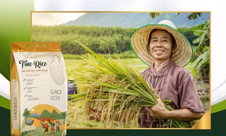 Tiên phong ứng dụng công nghệ trong việc sử dụng gạo thay đổi trải nghiệm của người dùng