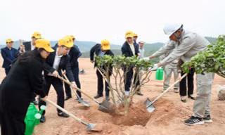 Phát động trồng cây phủ xanh 16 ha dự án sân golf tại tỉnh Phú Thọ
